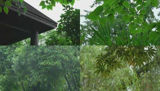 4K重庆雨季下雨原声实拍高清在线视频素材下载