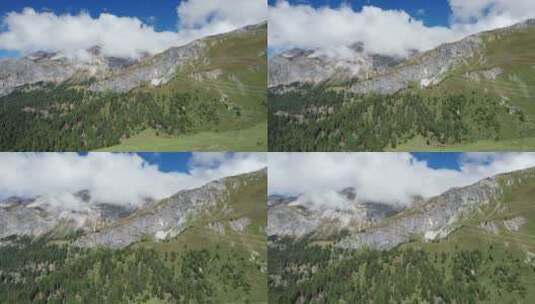 雪山和绿植鸟瞰高清在线视频素材下载
