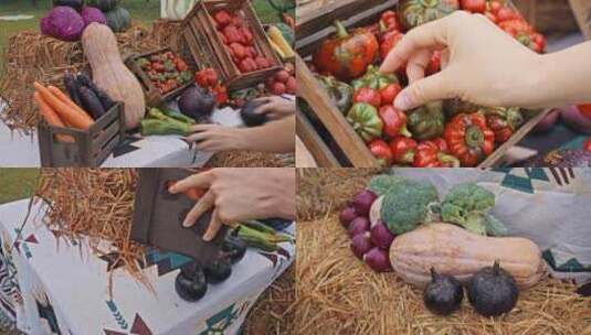 水果蔬菜瓜果丰收摆放装饰高清在线视频素材下载