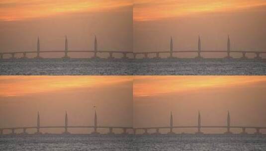 飞机和海鸥飞过朝霞中的港珠澳大桥海豚塔高清在线视频素材下载