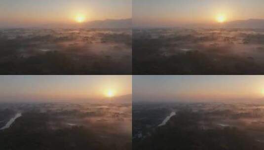 航拍杭州西溪湿地旭日东升云雾缭绕宛如仙境高清在线视频素材下载