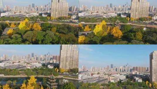 秋天的成都美丽公园城市金黄银杏望江楼公园高清在线视频素材下载