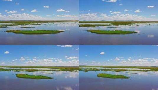 阿坝若尔盖花湖湿地高清在线视频素材下载