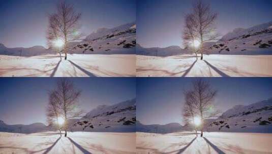 冬季夕阳下雪地上的树的倒影延时摄影高清在线视频素材下载