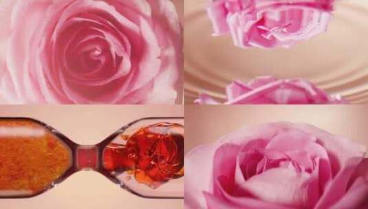 水珠玫瑰花 粉色玫瑰高清在线视频素材下载