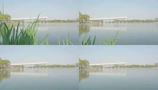 上海嘉定新城嘉定区远香湖远香湖公园高清在线视频素材下载