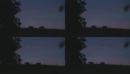 清晨农村农场牧场奶牛剪影高清在线视频素材下载