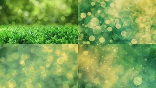 抽象绿色粒子背景绿色树叶光斑背景高清在线视频素材下载