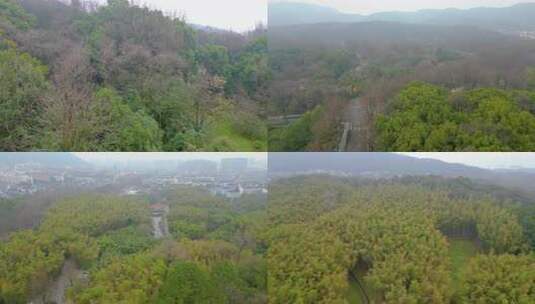 杭州植物园风景视频素材航拍高清在线视频素材下载