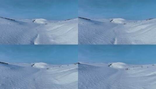 航拍寒冬辽阔纯净雪原湛蓝天空高清在线视频素材下载