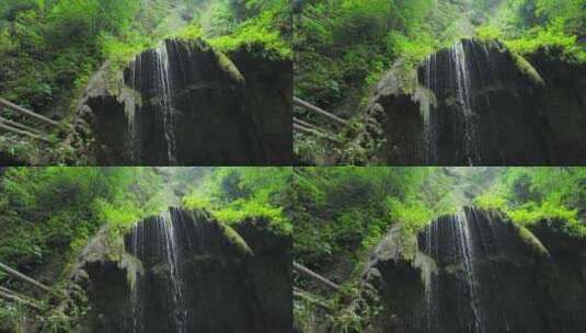 成都青城山后山峡谷森林步道溪流自然景观高清在线视频素材下载