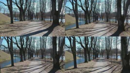 有湖有树的林间小路高清在线视频素材下载