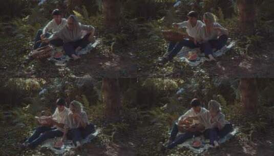 在森林野餐的情侣高清在线视频素材下载