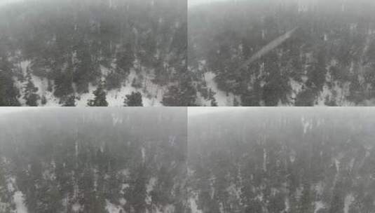 林地降雪景观航拍镜头高清在线视频素材下载