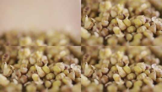 把绿豆过筛碾碎筛出绿豆沙高清在线视频素材下载