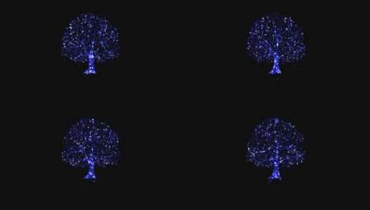 粒子唯美的夜景树高清在线视频素材下载