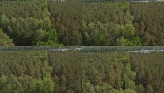 揭示了森林中的一条河流高清在线视频素材下载