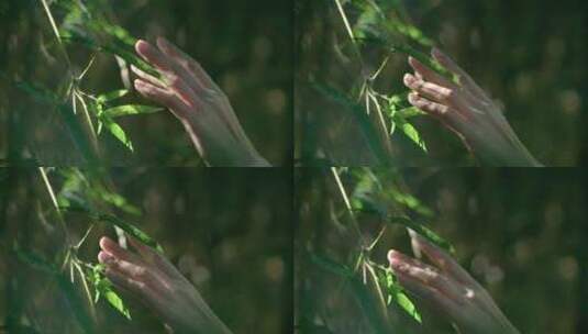 下雨的树林中女孩伸手抚摸雨滴唯美视频素材高清在线视频素材下载
