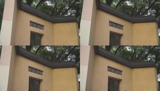 杭州宝石山景区智果寺旧址高清在线视频素材下载