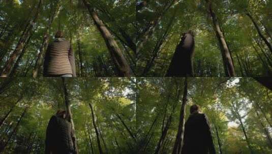 女人在森林中散步高清在线视频素材下载