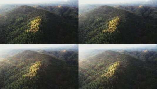 黄昏生态森林光影航拍高清在线视频素材下载