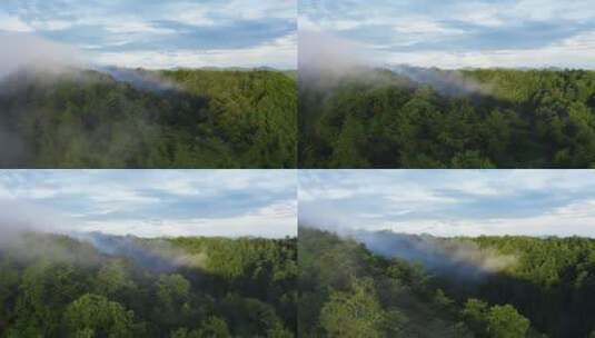 云雾缭绕的绿色火山口高清在线视频素材下载
