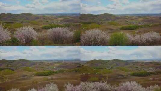 航拍春天杏花开放的大地村庄高清在线视频素材下载