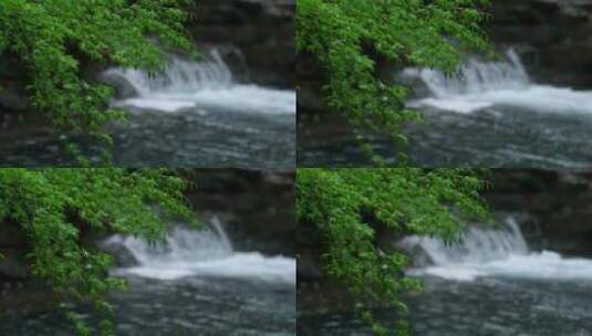 杭州云溪竹径春雨溪流升格视频高清在线视频素材下载