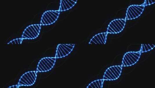 【全息】dna基因序列旋转-06高清在线视频素材下载