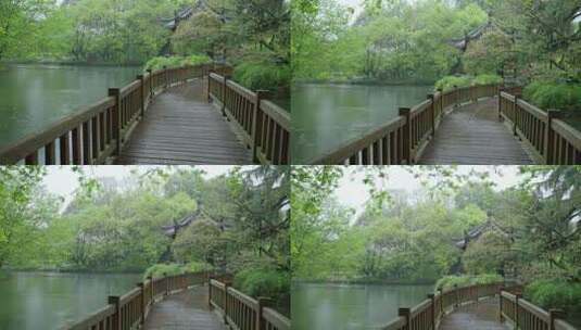 春天杭州花港观鱼阴雨天小桥绿色自然高清在线视频素材下载