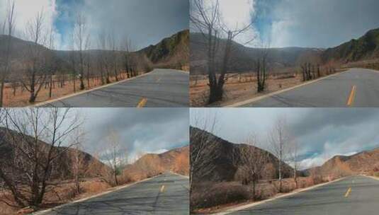 西藏旅游风光318国道车窗道路枯树高清在线视频素材下载