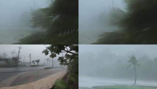 狂风骤雨台风登陆高清在线视频素材下载