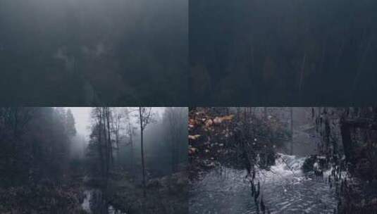 深秋浓雾森林河流野外户外风景合集高清在线视频素材下载
