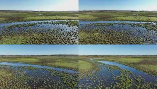 挠力河国家级自然保护区湿地航拍高清在线视频素材下载