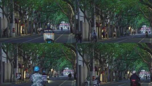 上海茂盛梧桐树叶的街道高清在线视频素材下载