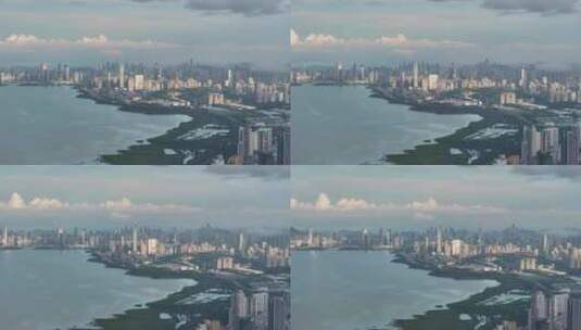 红树林深圳湾繁华城市航拍高清在线视频素材下载