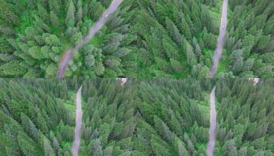 森林中的公路汽车航拍高清在线视频素材下载