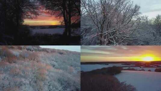 雪景日出雪松树挂故乡清晨田野乡村雪天美景高清在线视频素材下载