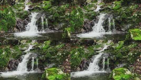 森林山涧小溪瀑布河流绿色苔藓高清在线视频素材下载