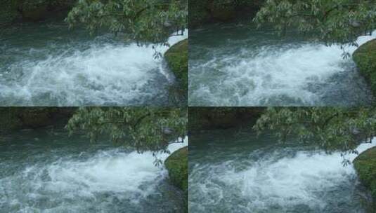 高清实拍小溪流溪水大自然森林高清在线视频素材下载