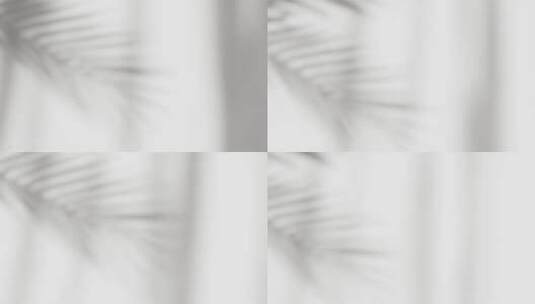 自然树叶树枝落在墙上的抽象剪影阴影白色背高清在线视频素材下载