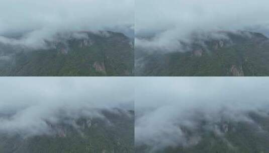 雨后森林航拍原始森林山峰云雾缭绕高清在线视频素材下载