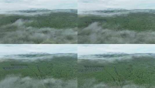 山野云雾高清在线视频素材下载