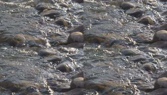 水 河流 慢动作 河流 小溪 水流 河道高清在线视频素材下载