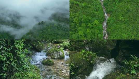 大自然原始森林云雾溪流绿色生态高清在线视频素材下载