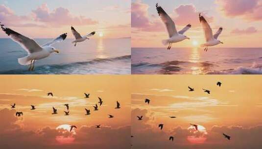 夕阳下海鸥于海面飞翔高清在线视频素材下载