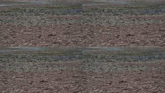 嘉陵江干涸鹅卵石高清在线视频素材下载