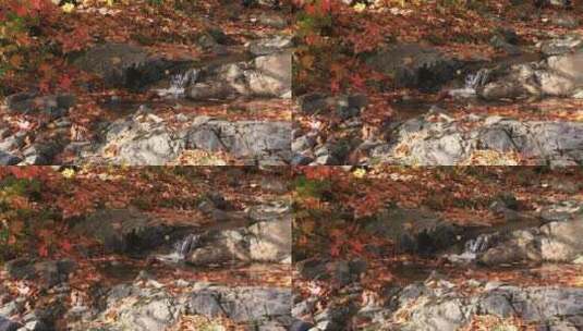 秋天落叶下的山涧小溪高清在线视频素材下载