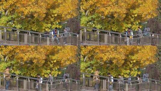 秋天城市天桥上的行人高清在线视频素材下载