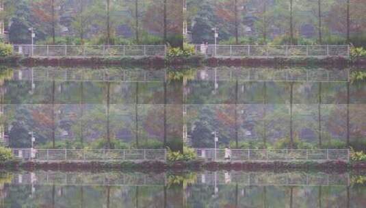 重庆西南大学校园风光景观高清在线视频素材下载